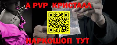 ешки Кингисепп