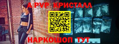 ешки Кингисепп
